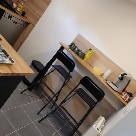Loft Circuit And Parc Expo Appartement
